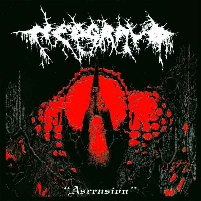 NEDGRAVD - Ascension CD